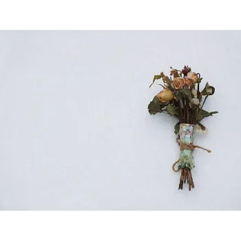 Common Dry Rose Leaves